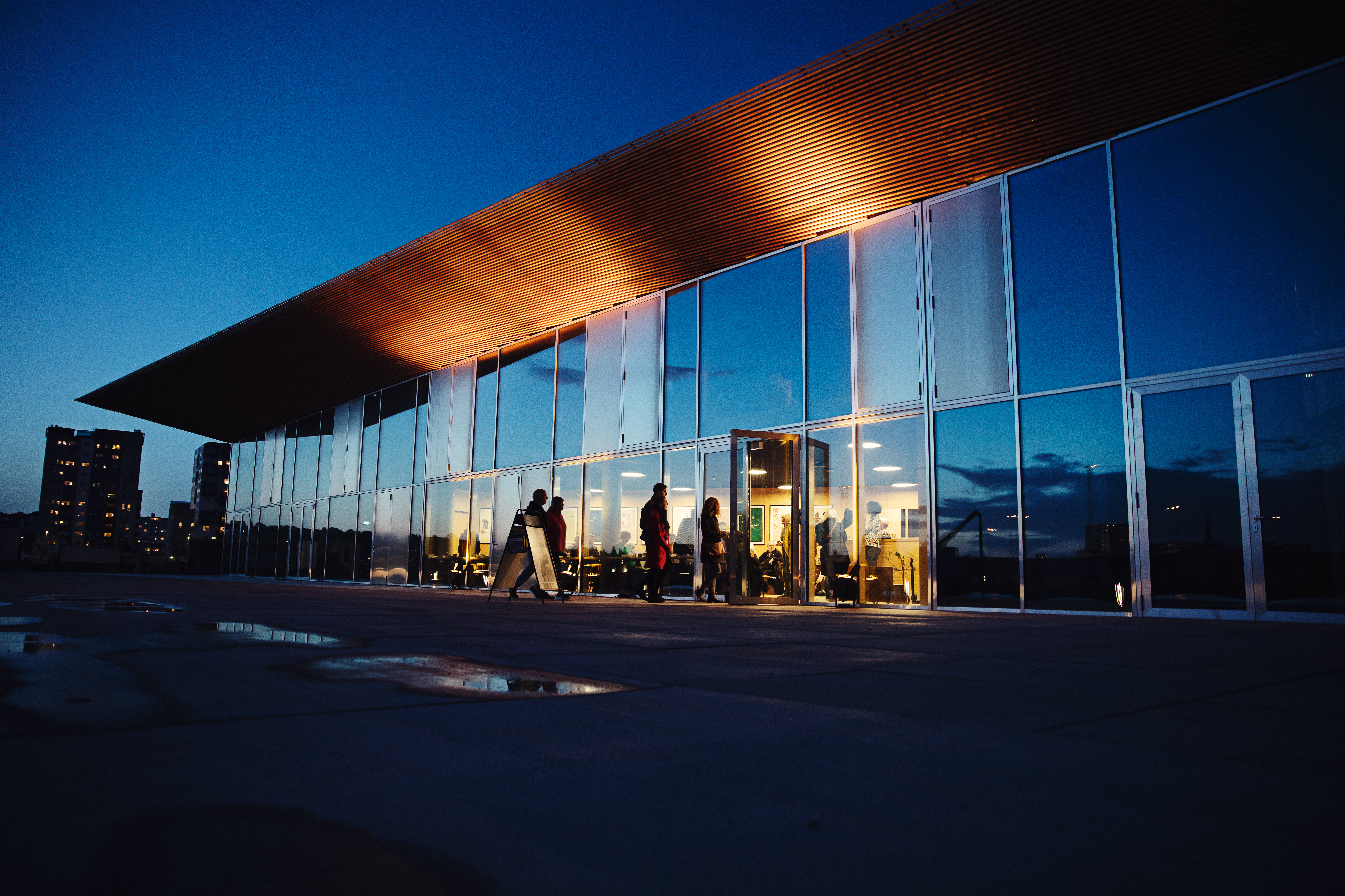 7731.Martingravgaard